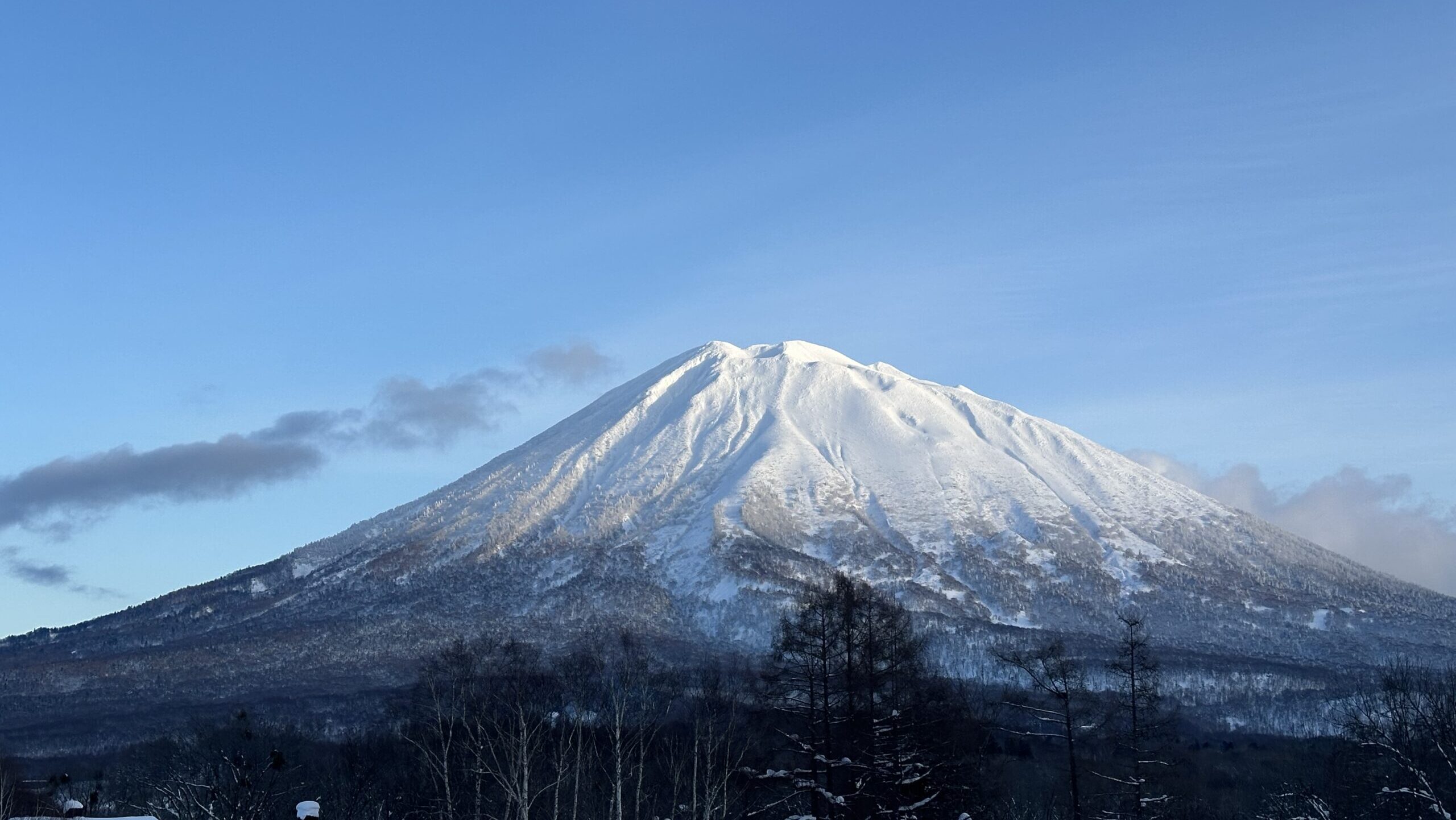 北海道を守る会